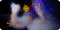 Bild nummer 7561