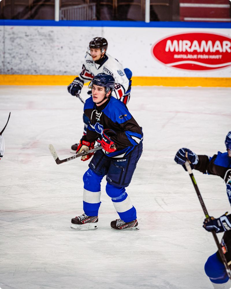 Chalmers Blue McRangers vs EHVS Lakers