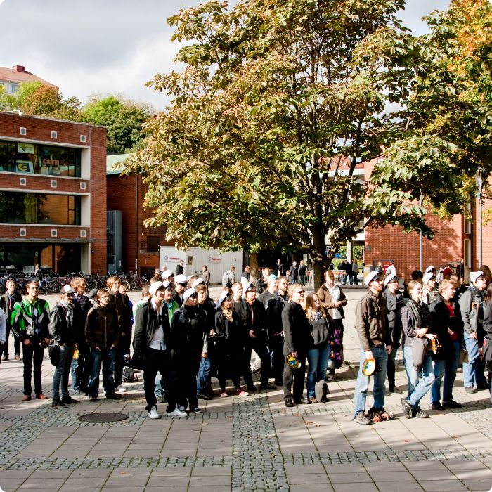 Mösspåtagning