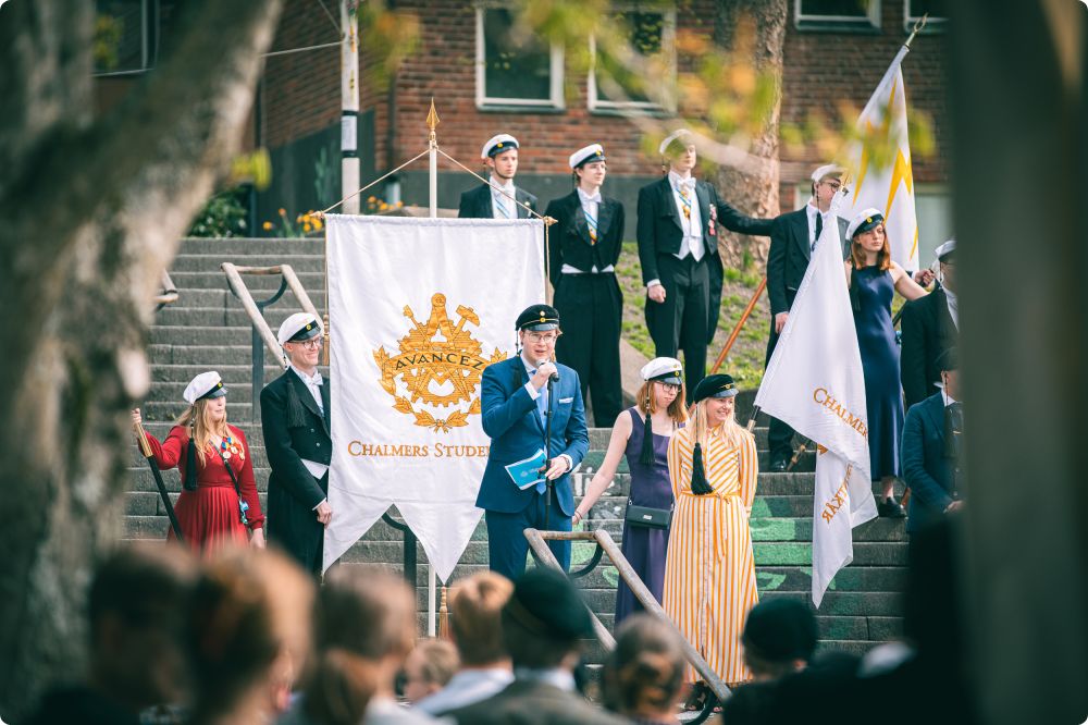 Mösspåtagning