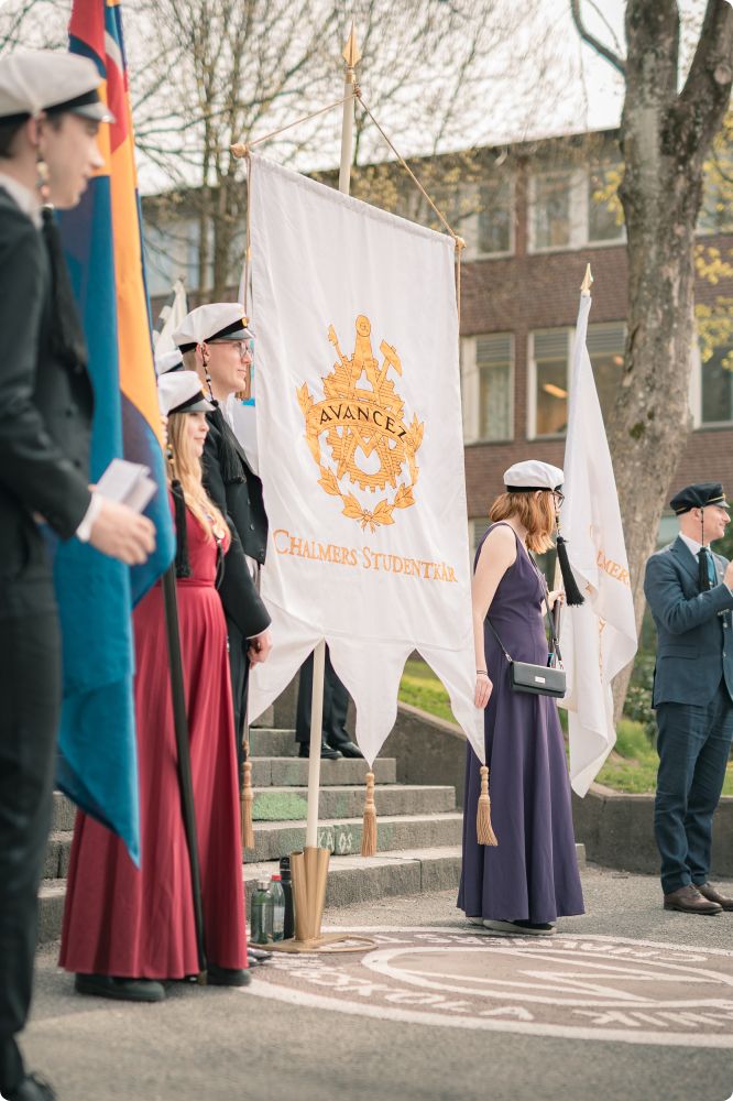 Mösspåtagning