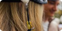 Bild nummer 91263