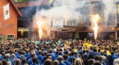 Bild nummer 92279