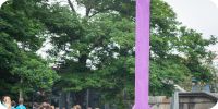 Bild nummer 92314