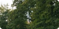 Bild nummer 92510