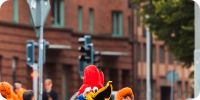 Bild nummer 92511