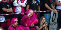 Bild nummer 92929
