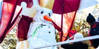 Bild nummer 96248
