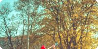 Bild nummer 96373