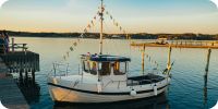 Bild nummer 97076
