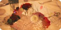 Bild nummer 97102