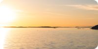 Bild nummer 97134