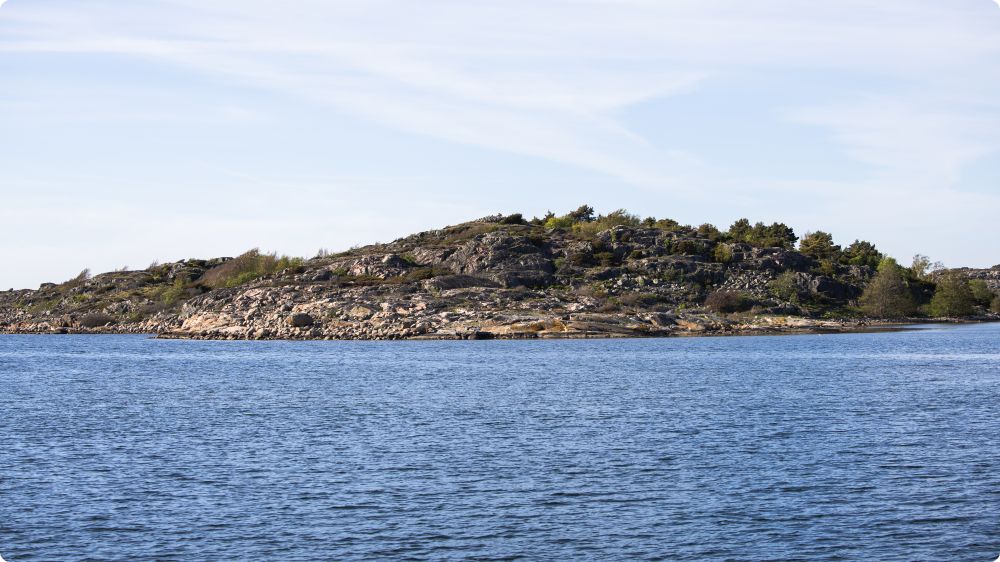 Vårbalen
