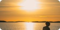 Bild nummer 97213
