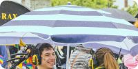 Bild nummer 97262