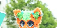 Bild nummer 97293