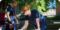 Bild nummer 97633